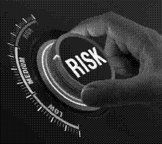 Risks