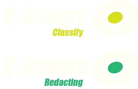 Q-Integra Logo Anonymous